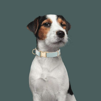 Ewinoom Soft Hemp Dog Collar and Leash Set Adjustable Woven Tweed Dog Collars with Metal Buckle and Lead for Small Medium Large Dogs,Blue
