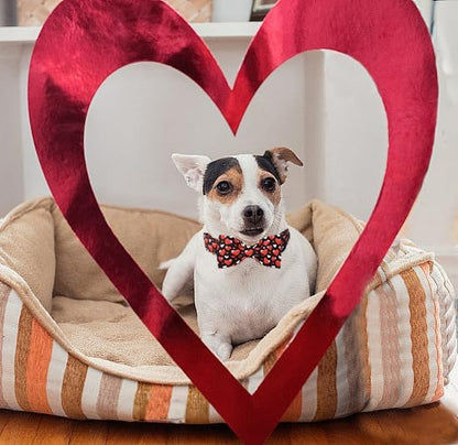 Lionet Paws Valentine's White Dog Collar, Cute Heart Black Dog Collar for Large Dogs, Adjustable Cotton Love Pet Collars for Medium Large Dogs