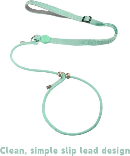 EVERKING Dog Slip Lead Dog Training Leash, No-Pull Slip Leash and Collar,Nylon Material Heavy-Duty and Durable,with Comfortable Padded Handle,Suitable for All Dogs (Green(4.9-5.9FT-Metal Buckle))