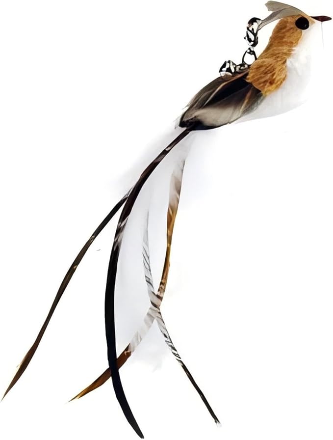 CUTIE PAW PAL Deluxe Bird Replacement Heads for Cat Toys - Set of 5 - Realistic Feather Designs Including Blue Floral, Two-Tone, Traditional, Black & White, Green Hummingbird - Easy Clip-On