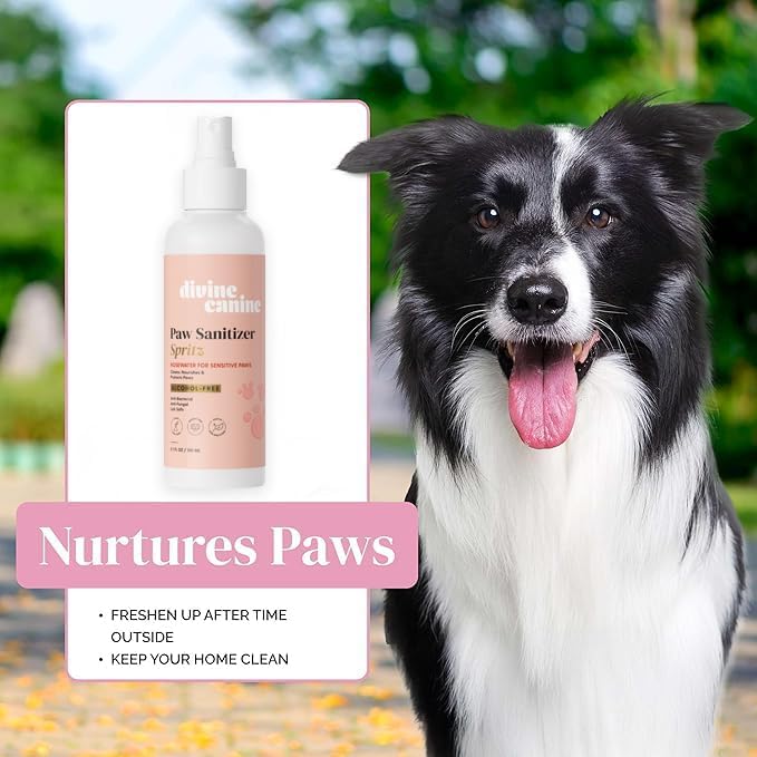Dog Paw Cleaner - 5.1 Fl Oz of Alcohol Free Paw Cleansing Spray - Made with Rosewater, Aloe, Copaiba Oil, and Lemongrass Oil to Nourish and Clean Paws - Made in The USA
