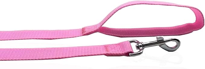 Nylon Dog Leash 8 Feet Long, Walking Training Dog Leashes for Medium Large Dogs