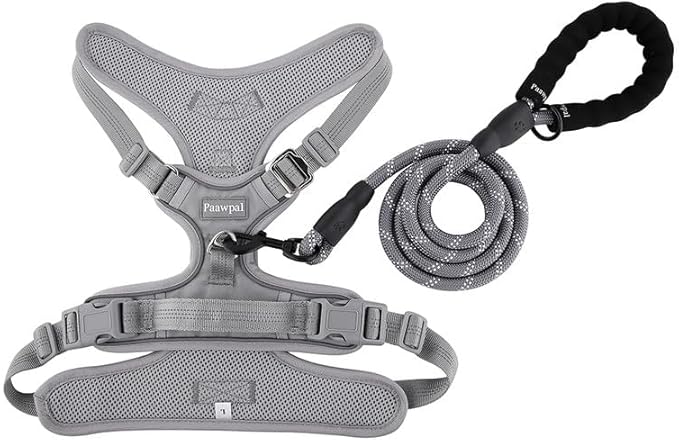 Paawpal Adjustable Dog Harness - No Pull, Reflective, Soft Padded for Small, Medium, Large Dogs - Includes Leash Light Silver L