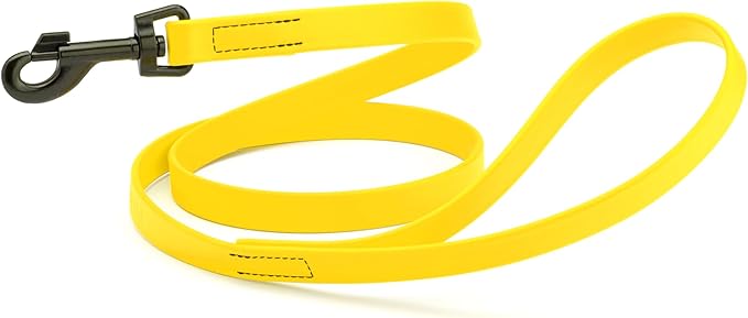 Dogline Biothane Waterproof Dog Leash Strong Coated Nylon Webbing with Black Hardware Odor-Proof Easy to Clean High Performance for Small or Large Dogs Made in USA 4 or 6 ft Lead, Lemon Yellow