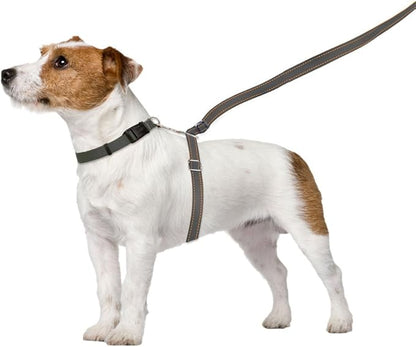 ThunderLeash No-Pull Dog Leash (Small (12 to 25 lbs), Grey)