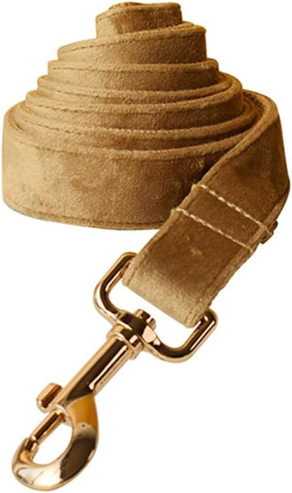 JAY D.L Dog Collar and Leash Set，Soft & Comfy Velvet Dog Collars with Heavy Duty Metal Buckle and Matching Lead Adjustable for Small Medium Large Dogs (Small, Khaki)