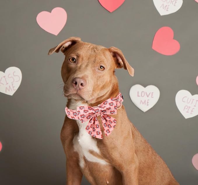 Unique Style Paws Valentiene's Day Dog Collar with Bow Heart Print Cotton Dog Collars Collar for Small Medium Large Dogs New