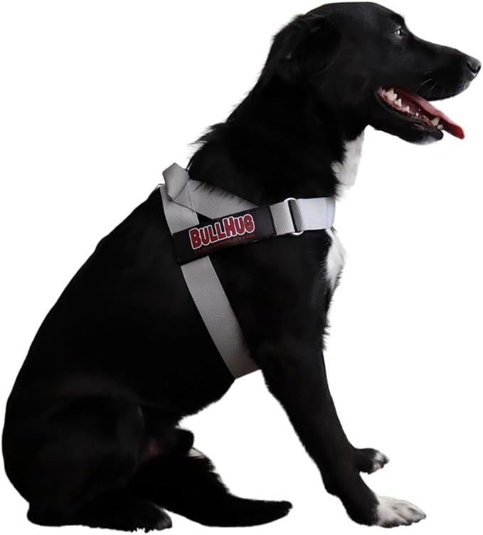 BULLHUG Adjustable Dog Harness– No Pull, No Choke – for English Bulldogs, French Bulldogs, Pugs & Broad-Chested Breeds – Easy, Safe Walks (Silver, Medium)
