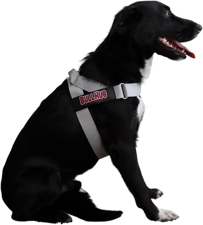 BULLHUG Adjustable Dog Harness– No Pull, No Choke – for English Bulldogs, French Bulldogs, Pugs & Broad-Chested Breeds – Easy, Safe Walks (Silver, Medium)