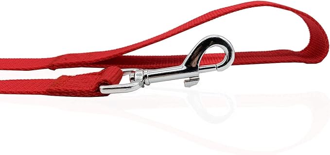 Nylon Dog Leash 10 Feet Long, Walking Training Dog Leashes for Medium Large Dogs, 1 Inch Wide (Red)