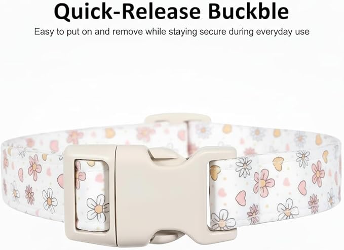 Dog Collar, Floral Dog Collar with Flower Daisy Pattern, Spring Summer Design for Small Medium Dogs, M