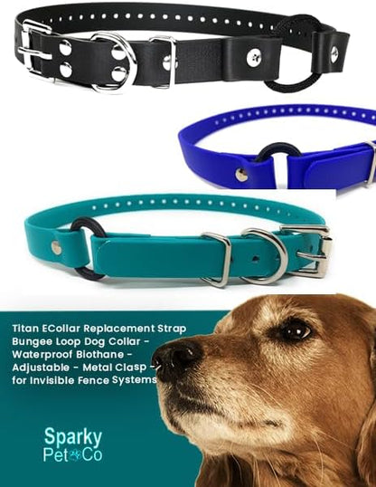 Sparky Pet Co - Apollo ECollar Replacement Strap - Dog Collar - Waterproof Biothane - Adjustable - Double Buckle - Quick Snap Metal Clasp - for Invisible Fence Systems - 3/4" x 28" (Red)