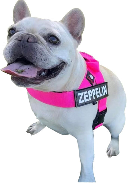 BULLHUG Adjustable Dog Harness– No Pull, No Choke – for English Bulldogs, French Bulldogs, Pugs & Broad-Chested Breeds – Easy, Safe Walks (NEON Pink, Small)