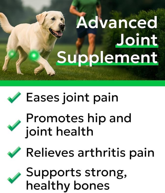 Glucosamine Chondroitin Dog Hip & Joint Supplement - Joint Pain Relief - Hip & Joint Chews for Dogs - Joint Support Large Breed - Senior Doggie Vitamin Pills Joint Health - (240 Treats - Bacon)