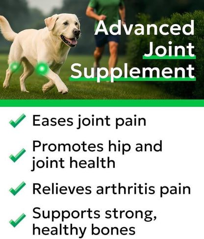 Glucosamine Chondroitin Dog Hip & Joint Supplement - Joint Pain Relief - Hip & Joint Chews for Dogs - Joint Support Large Breed - Senior Doggie Vitamin Pills Joint Health - (240 Treats - Bacon)