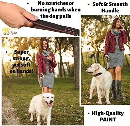 ADITYNA Leather Dog Leash 6 ft x 3/4 inch - Soft, Strong, Heavy Duty for Large & Medium Breeds - Dog Lead for Walking, Training, Hiking and Running (Brown)
