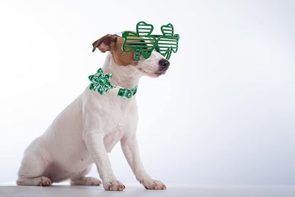 Lionet Paws St Patricks Day Dog Collar with Flower, Irish Green Shamrock Clover Flower Collar with Metal Buckle for Dogs, Adjustable Comfortable Dog Collar Girl, L, Neck 16-24 in