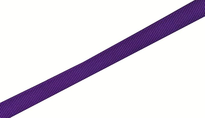 Nylon Dog Leash 8 Feet Long, Walking Training Dog Leashes for Medium Large Dogs(1" X 8 ft, Purple)