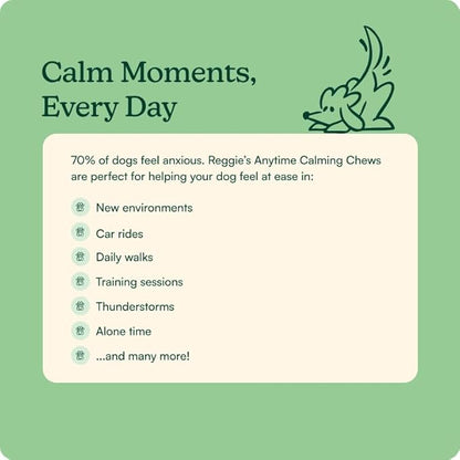 Reggie Anytime Calming Chews for Dogs | Natural Anxiety Relief with L-Theanine & Magnolia Barks | Calming Dog Treats for Separation Anxiety, Thunderstorms, Travel & Stress | 60 Soft Chews