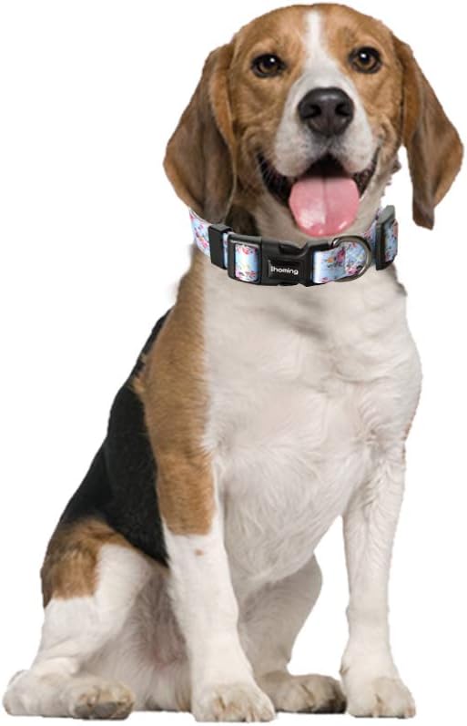 Ihoming Dog Collar and Leash Set for Daily Outdoor Walking Running Training, Floral Sky Design for Large Boys Girls Dogs Cats Pets, L-Up to 80LBS