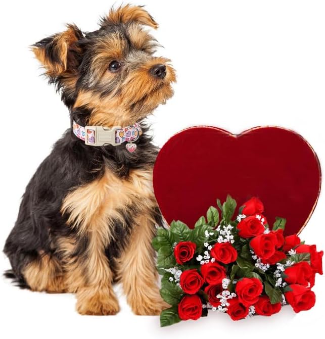 Lionet Paws Valentine's Dog Collar- Cute Spring Sweet Heart Dog Collars with Plastic Buckle, Light Adjustable Dog Collars for Small Dogs