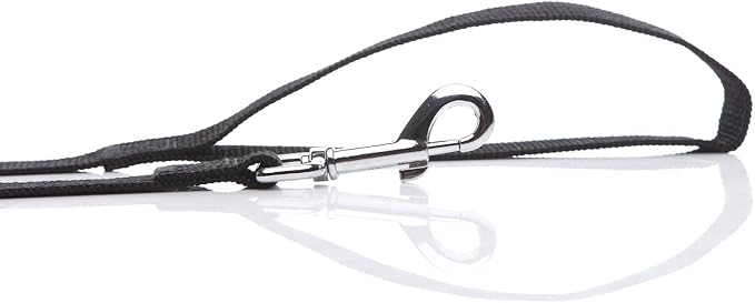 Nylon Dog Leash 4 Ft 5 Feet 6 Foot Long, Walking Training Dog Leashes for Medium Large Dogs, 1 Inch Wide (3/4" X 6 ft, Black)