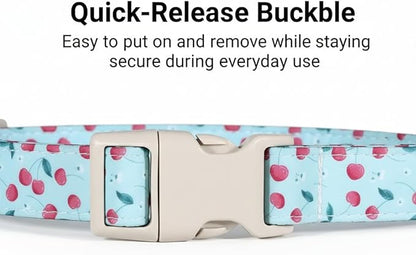 Dog Collar, Cherry Pattern Dog Collar for Spring Summer, Small Dog Collar, S
