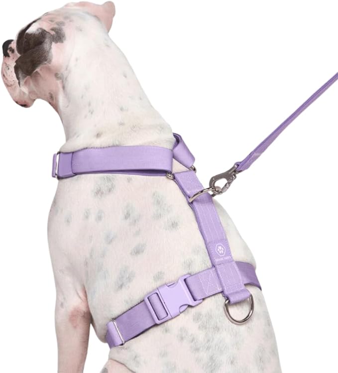 Spark Paws No Pull Dog Harness for Large Dogs, Heavy Duty Dog Harness for Big Strong Breeds, Adjustable, Y Shaped Padded Halter Design with Front Clip - Purple - Medium