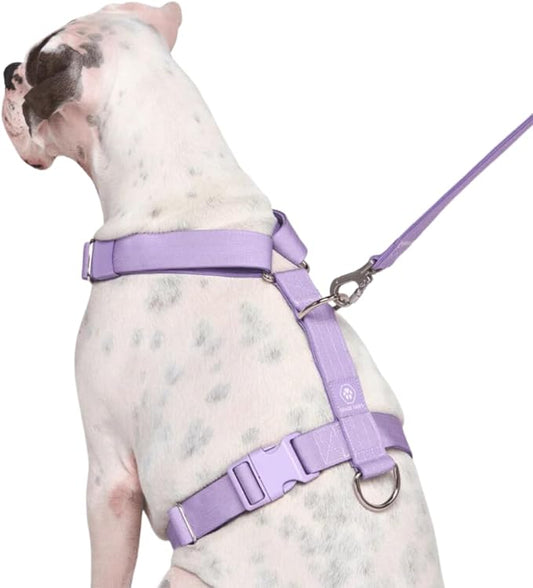 Spark Paws No Pull Dog Harness for Large Dogs, Heavy Duty Dog Harness for Big Strong Breeds, Adjustable, Y Shaped Padded Halter Design with Front Clip - Purple - Medium