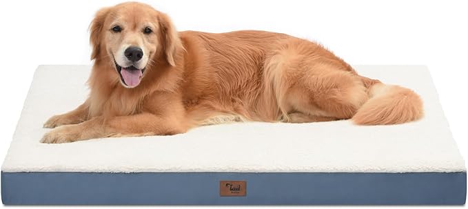Tail Stories Orthopedic Dog Bed for Extra Large Dogs, XL Comfort Pet Mat for Large Sized Dog 44x32 Inch, Egg Crate Foam with Removable Washable Oxford Cover, Blue White