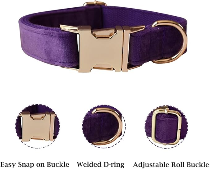 JAY D.L Dog Collar and Leash Set，Soft & Comfy Velvet Dog Collars with Heavy Duty Metal Buckle and Matching Lead Adjustable for Small Medium Large Dogs (XLarge, Dark Purple)