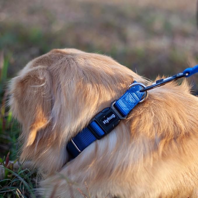 Hyhug Medium Dog Collar, Blue:Heavy-Duty Quick-Release Nylon Buckle, Adjustable & Durable, Cute Dog Collar (Medium, Classic Blue)
