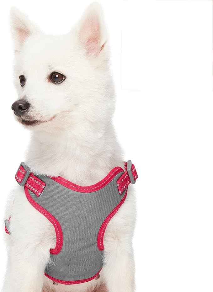 Blueberry Pet Pastel Colored Reflective Dog Harness with Seatbelt Clip – Adjustable No-Pull Pet Vest for Walking and Car Safety, Small Size in Very Berry