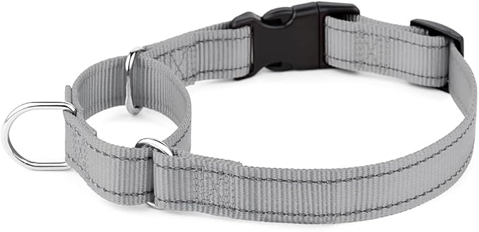 Plutus Pet Reflective Martingale Collar with Buckle - Durable and Adjustable Training Collar for No Pulling, Dog Choker Collar for Small Medium Large Dogs, Gray, S