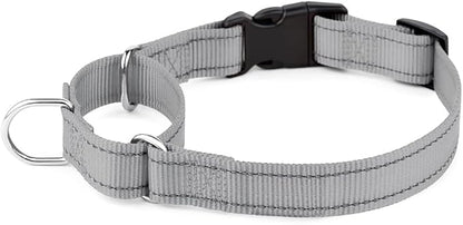 Plutus Pet Reflective Martingale Collar with Buckle - Durable and Adjustable Training Collar for No Pulling, Dog Choker Collar for Small Medium Large Dogs, Gray, S