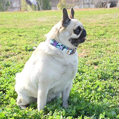 Metal Buckle Dog Collar, Durable Adjustable Dog Collar Soft for Small Medium Large Dogs