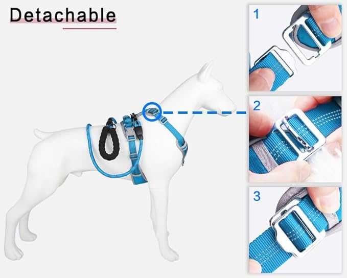 Paawpal Adjustable Dog Harness - No Pull, Reflective, Soft Padded for Small, Medium, Large Dogs - Includes Leash Turquoise M
