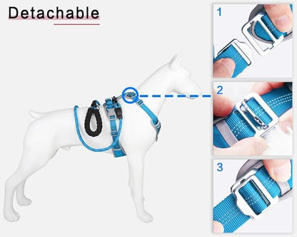 Paawpal Adjustable Dog Harness - No Pull, Reflective, Soft Padded for Small, Medium, Large Dogs - Includes Leash Turquoise XL