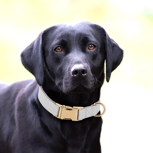 PET ARTIST Soft PU Leather Dog Collar for Medium Dogs, Bright & Classic Nylon Padded Durable Dog Collar Leather with Quick Release Metal Buckle Adjustable for Male Dogs, Neck Fit 13-19"