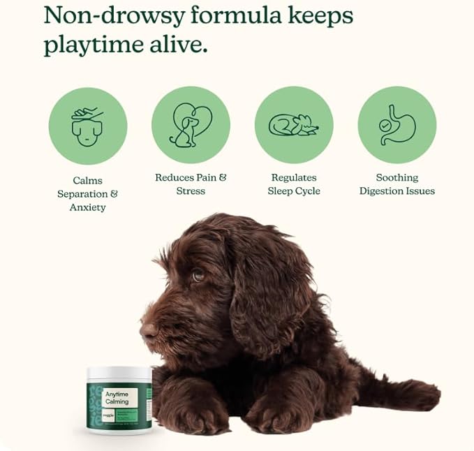 Reggie Anytime Calming Chews for Dogs | Natural Anxiety Relief with L-Theanine & Magnolia Barks | Calming Dog Treats for Separation Anxiety, Thunderstorms, Travel & Stress | 120 Soft Chews