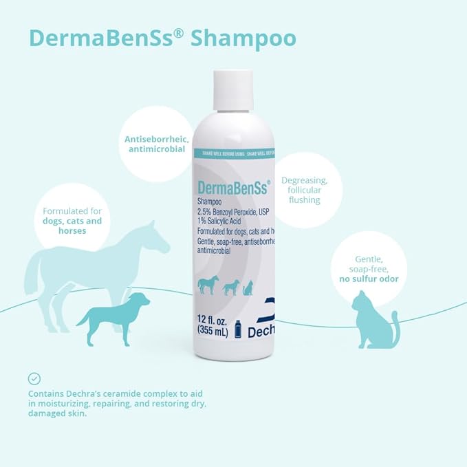 DermaBenSs Shampoo for Dogs, Cats and Horses, 12 Ounce