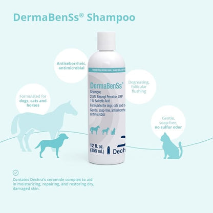 DermaBenSs Shampoo for Dogs, Cats and Horses, 12 Ounce