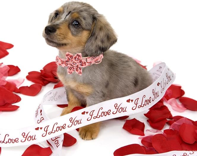 Unique Style Paws Valentiene's Day Dog Collar with Flower Heart Print Cotton Dog Collars Collar for Small Medium Large Dogs New