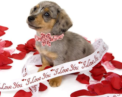 Unique Style Paws Valentiene's Day Dog Collar with Flower Heart Print Cotton Dog Collars Collar for Small Medium Large Dogs New