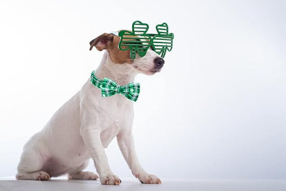 Lionet Paws St Patricks Day Dog Collar with Bowtie, Irish Green Shamrock Clover Bowtie Collar with Metal Buckle for Dogs and Cats Girl Boy ，XXS, Neck 7-11 in