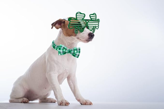 Lionet Paws St Patricks Day Dog Collar with Bowtie, Irish Green Shamrock Clover Bowtie Collar with Metal Buckle for Dogs Girl Boy, XL, Neck 16-26 in