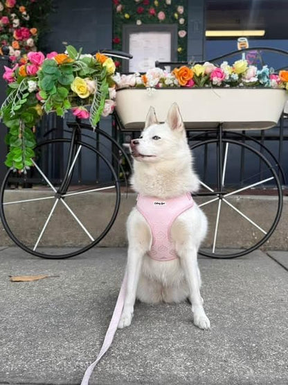 Large Dog Harness Set – Cute No Pull, All Weather, Breathable Harness and Leash Set with Collar, Bandana, Sailor Bow & Poop Bag Holder – Adjustable, Soft & Stylish – Pink Hearts on Jacquard Fabric