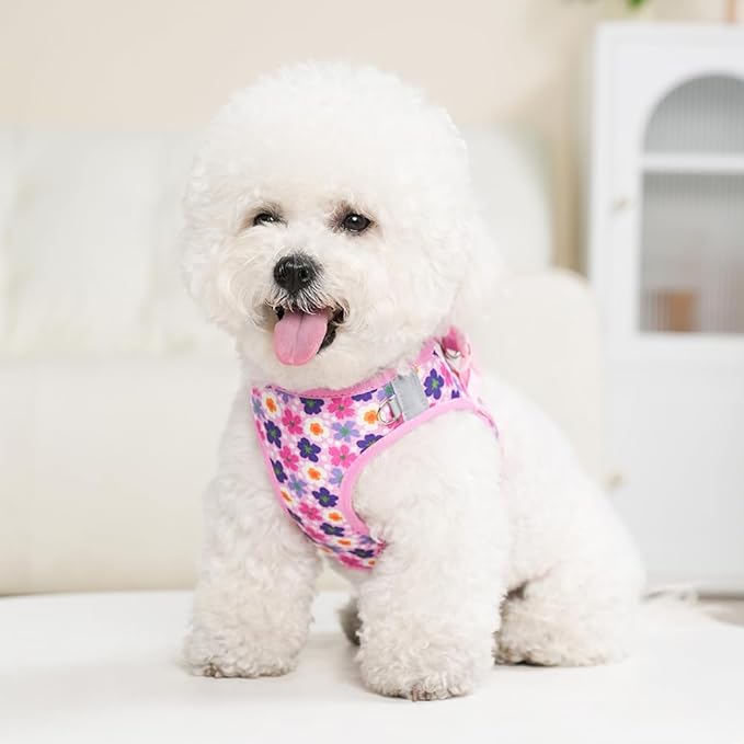 Step in Dog Harness and Leash Set, Flower Adjustable Easy Walk Puppy Harnesses, Soft Mesh No Pull Pet Vest Harness for Small Dogs and Cats(Flower, XS)