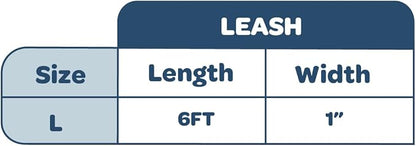 Best Pet Supplies Voyager Reflective Dog Leash or Collar with Neoprene Handle, for Small, Medium, and Large Breed Puppies, Cute and Heavy Duty for Walking, Running and Training - Red Leash, L