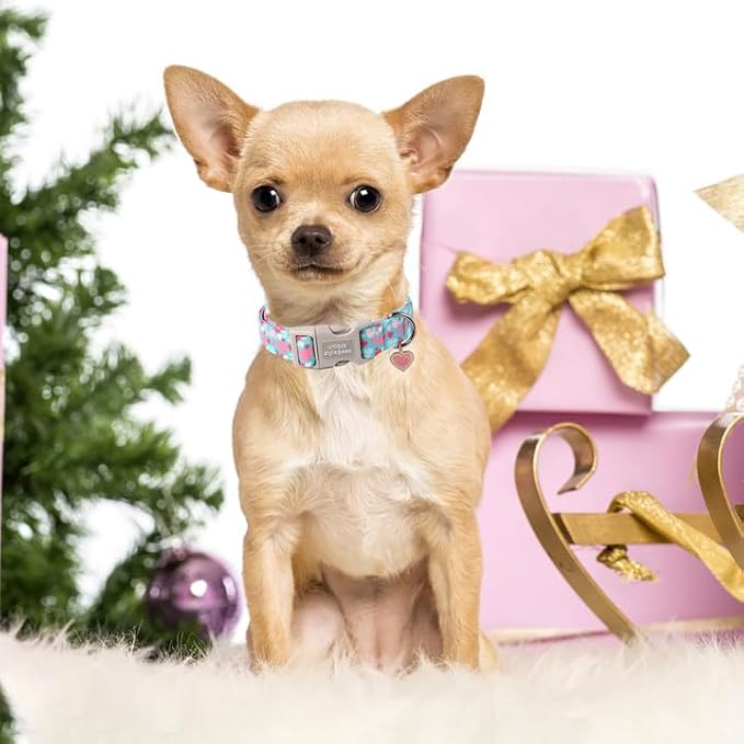 Unique style paws Valentine's Day Dog Collar Plastic Buckle Collar with Pendant Colorful Love Heart Gift Wedding Small Medium Large Boys Girls Dogs
